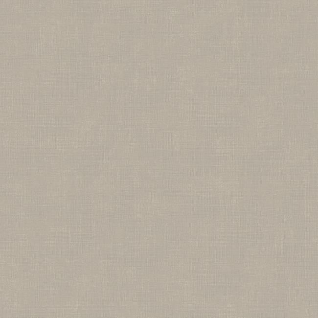 DR6317