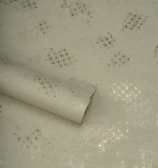 NA-008